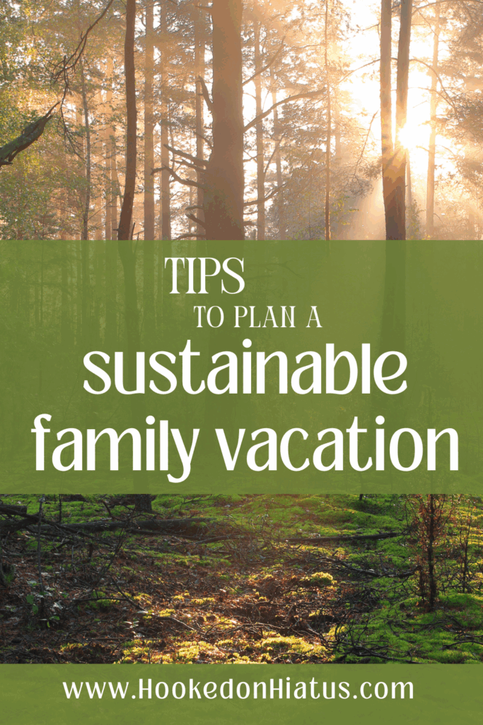 how to travel sustainably with kids. forest with sunrise shining through the trees.