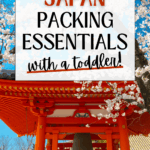 red Shinto shrine torii gates with white cherry blossoms in Japan in spring. toddler packing list for Japan.