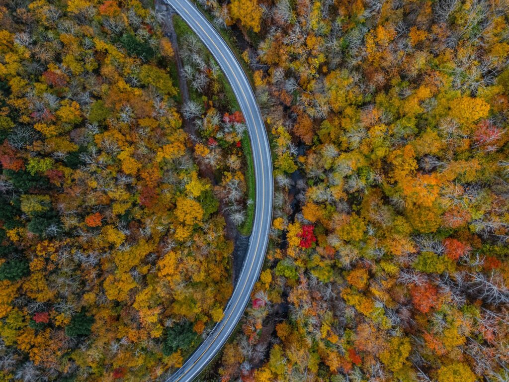 An aerial view of a road surrounded by trees