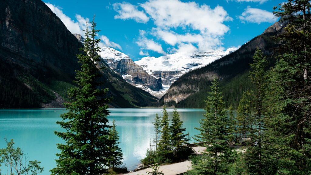 green trees near lake under blue sky during daytime