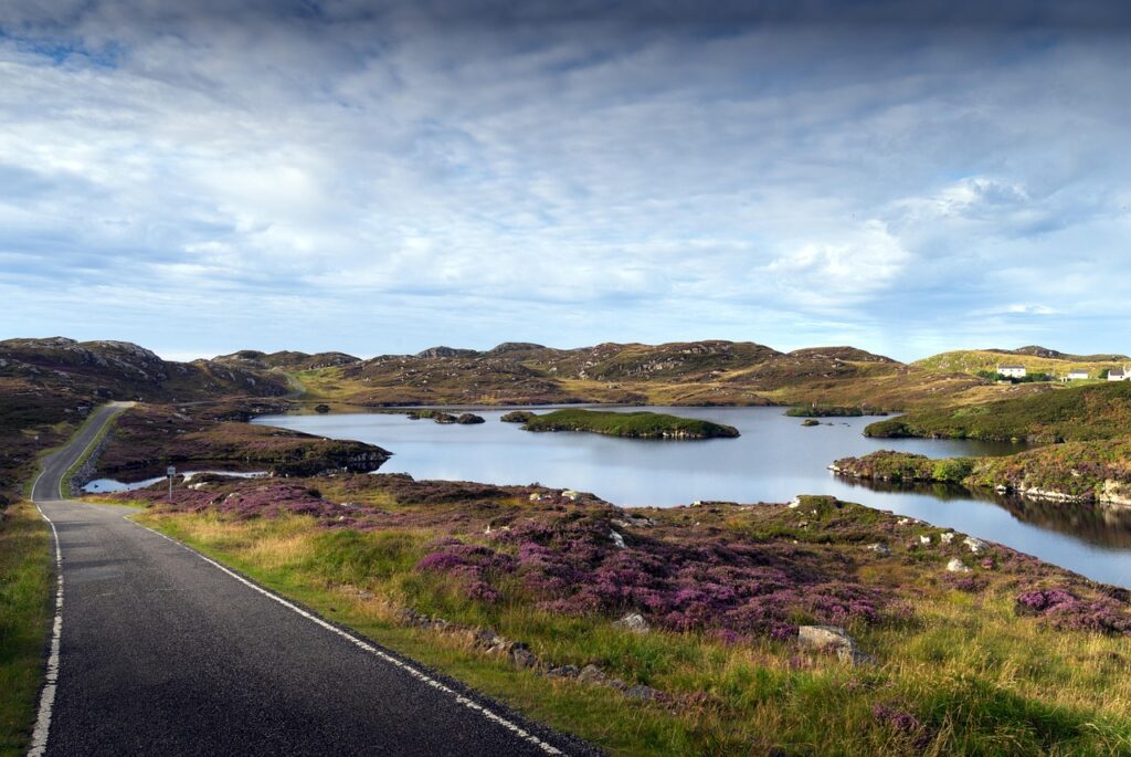 lake, pond, loch, vegetation, heather, scottish, nature