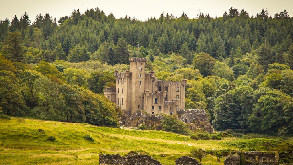 an old castle in the middle of a forest