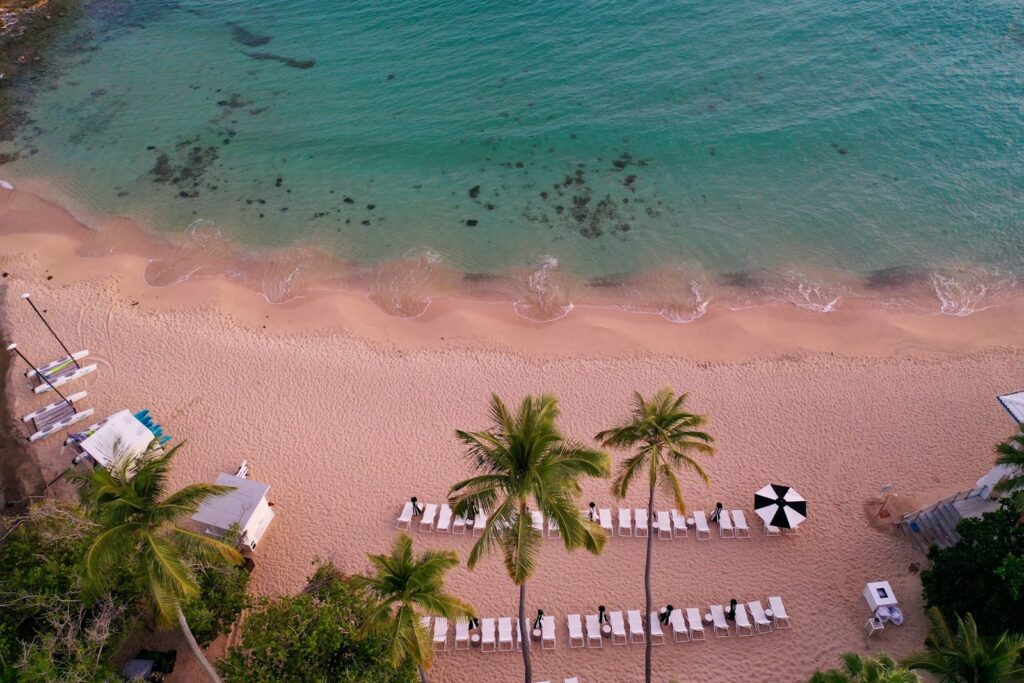 an aerial view of a beach with palm trees