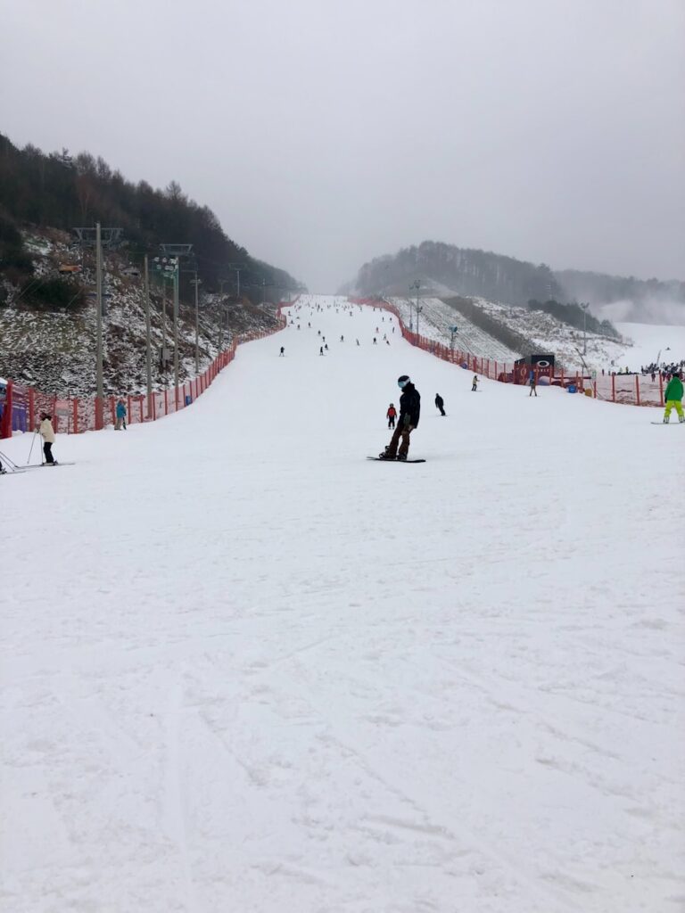 a group of people riding skis down a snow covered slope