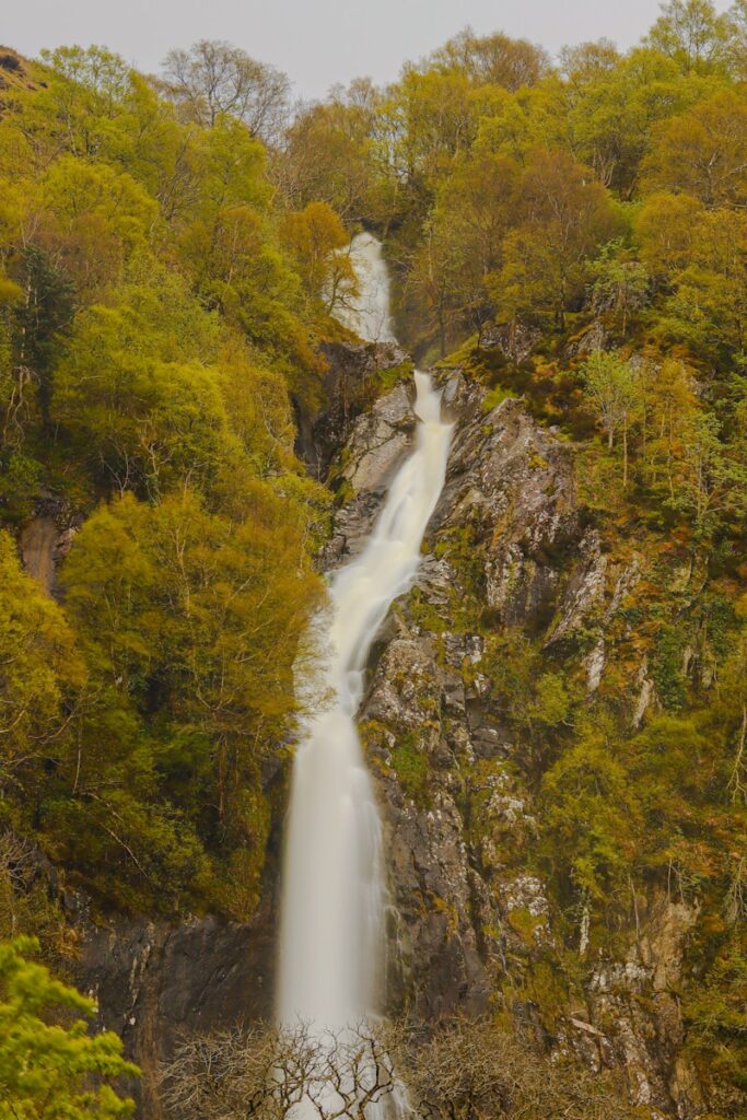 A waterfall in the middle of a forest